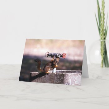Squirrel Merry Christmas Card by Artnmore at Zazzle