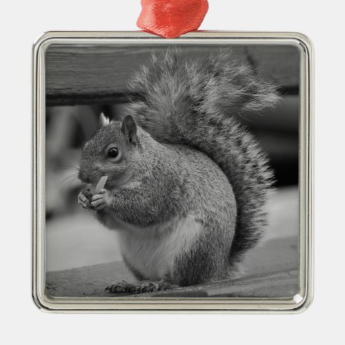 Squirrel Metal Ornament