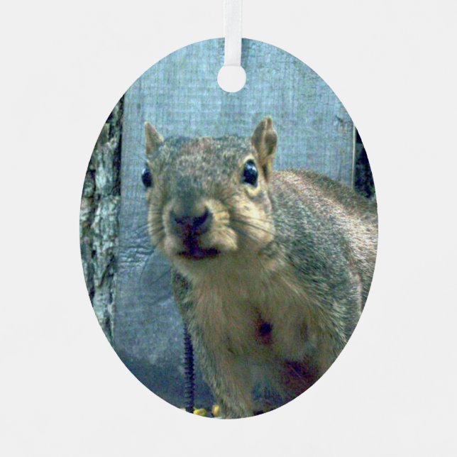 Squirrel Metal Ornament (Front)