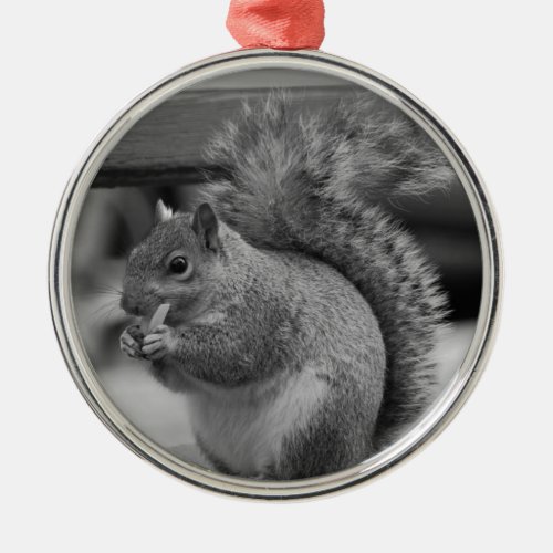 Squirrel Metal Ornament