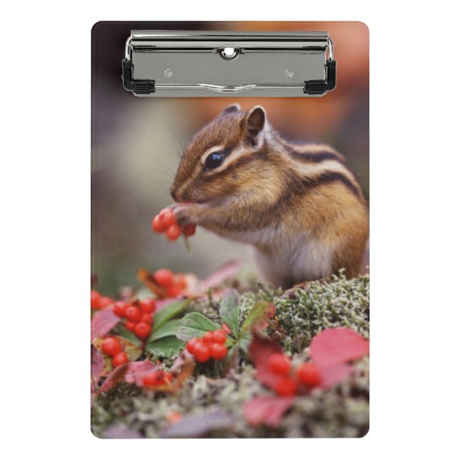 Squirrel Mini Clipboard (Front)