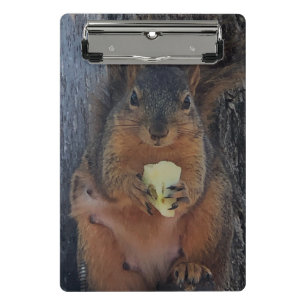 Squirrel Mini Clipboard