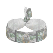 squirrel-monkey-29.jpg ribbon hair tie