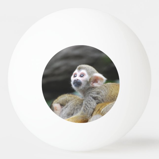 squirrel-monkey-39.jpg ping pong ball (Front)