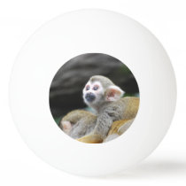 squirrel-monkey-39.jpg ping pong ball