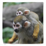 Squirrel Monkey Bandana