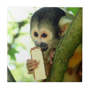 Squirrel Monkey Eating a Wafer Biscuit Ceramic Tile