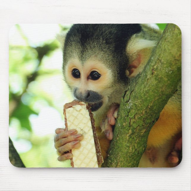 Squirrel Monkey Eating a Wafer Biscuit Mouse Pad (Front)