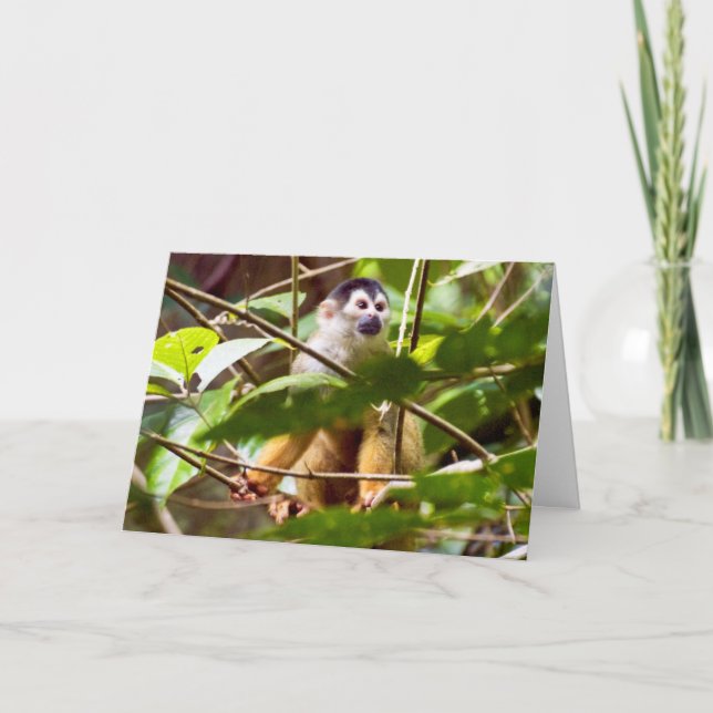 Squirrel Monkey Greeting Card (Front)