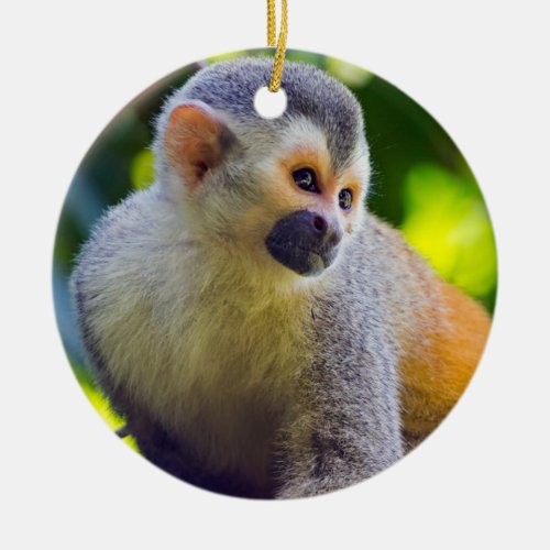 Squirrel monkey in Manuel Antonio NP _ Costa Rica Ceramic Ornament