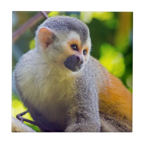 Squirrel monkey in Manuel Antonio NP _ Costa Rica Ceramic Tile