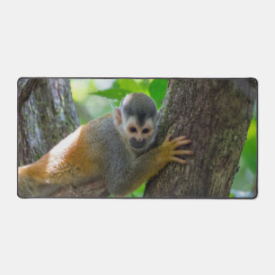 Squirrel monkey in Manuel Antonio NP - Costa Rica Desk Mat