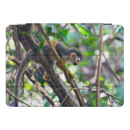 Squirrel monkey in Manuel Antonio NP - Costa Rica iPad Pro Cover