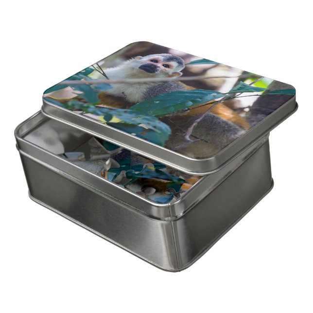 Squirrel monkey in Manuel Antonio NP - Costa Rica Jigsaw Puzzle (Lid Open)