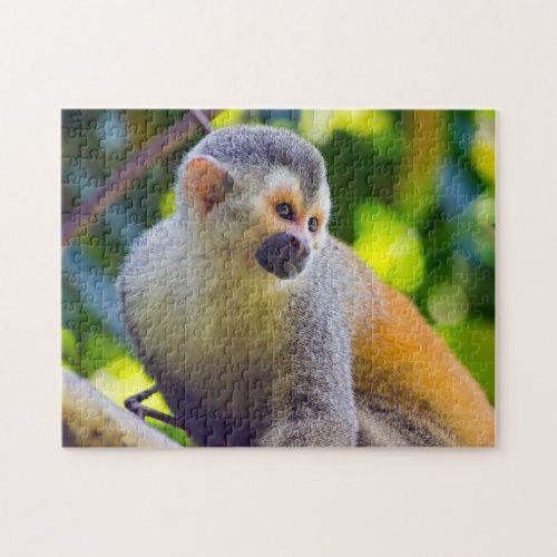 Squirrel monkey in Manuel Antonio NP _ Costa Rica Jigsaw Puzzle