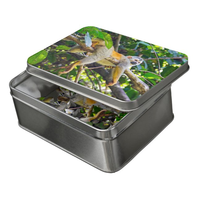 Squirrel monkey in Manuel Antonio NP - Costa Rica Jigsaw Puzzle (Lid Open)