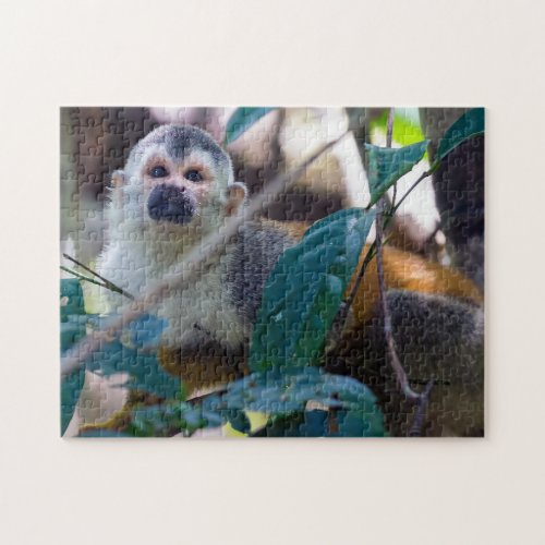 Squirrel monkey in Manuel Antonio NP _ Costa Rica Jigsaw Puzzle