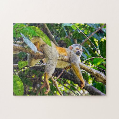 Squirrel monkey in Manuel Antonio NP _ Costa Rica Jigsaw Puzzle