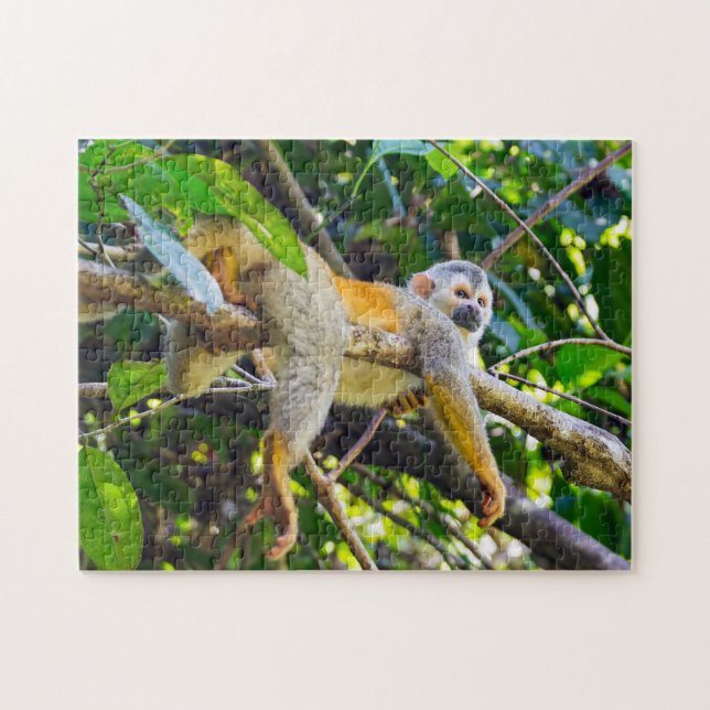 Squirrel monkey in Manuel Antonio NP - Costa Rica Jigsaw Puzzle (Horizontal)