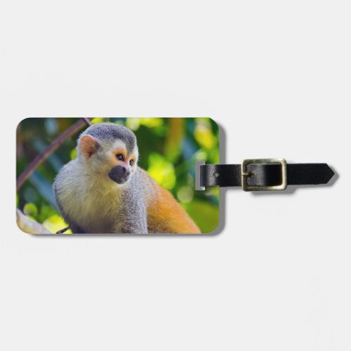 Squirrel monkey in Manuel Antonio NP _ Costa Rica Luggage Tag