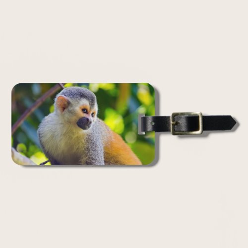 Squirrel monkey in Manuel Antonio NP - Costa Rica Luggage Tag
