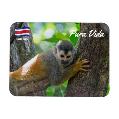 Squirrel monkey in Manuel Antonio NP _ Costa Rica Magnet