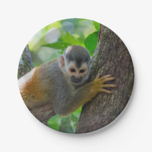 Squirrel monkey in Manuel Antonio NP - Costa Rica Paper Plates
