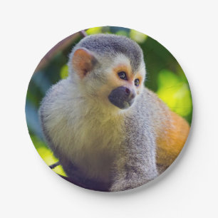 Squirrel monkey in Manuel Antonio NP - Costa Rica Paper Plates