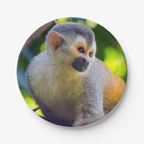 Squirrel monkey in Manuel Antonio NP _ Costa Rica Paper Plates