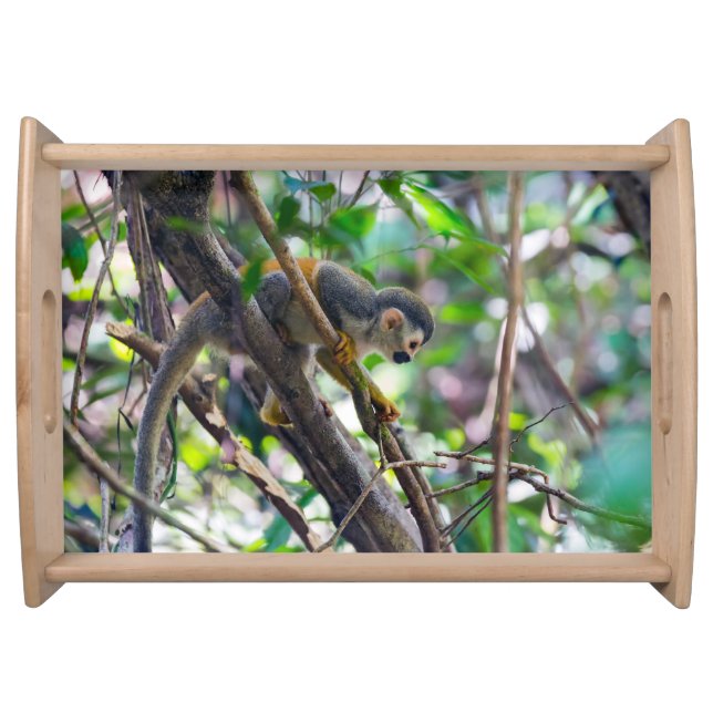 Squirrel monkey in Manuel Antonio NP - Costa Rica Serving Tray (Front)