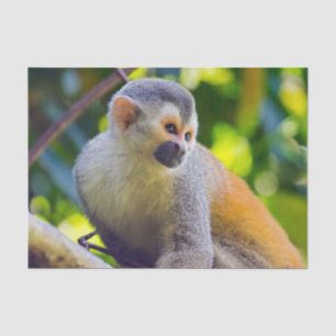 Squirrel monkey in Manuel Antonio NP - Costa Rica Tissue Paper