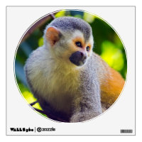 Squirrel monkey in Manuel Antonio NP - Costa Rica