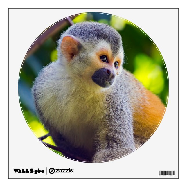 Squirrel monkey in Manuel Antonio NP - Costa Rica Wall Decal (Front)