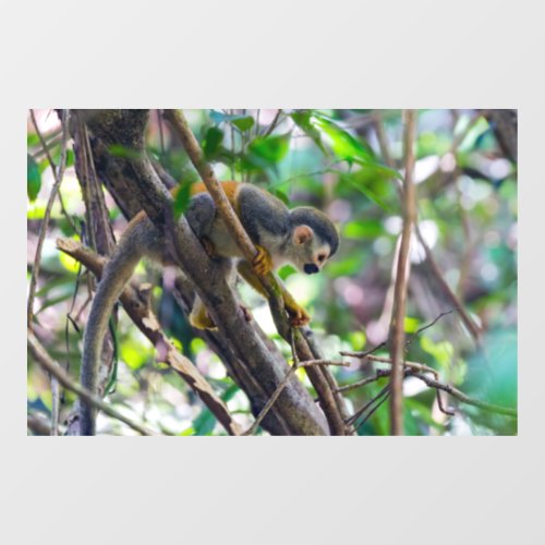 Squirrel monkey in Manuel Antonio NP _ Costa Rica Window Cling