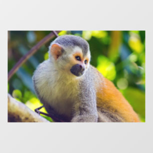 Squirrel monkey in Manuel Antonio NP - Costa Rica Window Cling