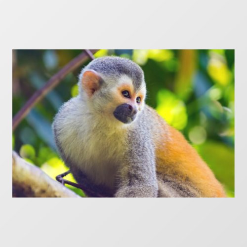 Squirrel monkey in Manuel Antonio NP _ Costa Rica Window Cling
