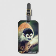 Squirrel Monkey In Tree