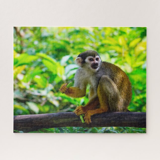 Squirrel Monkey. Jigsaw Puzzle (Horizontal)