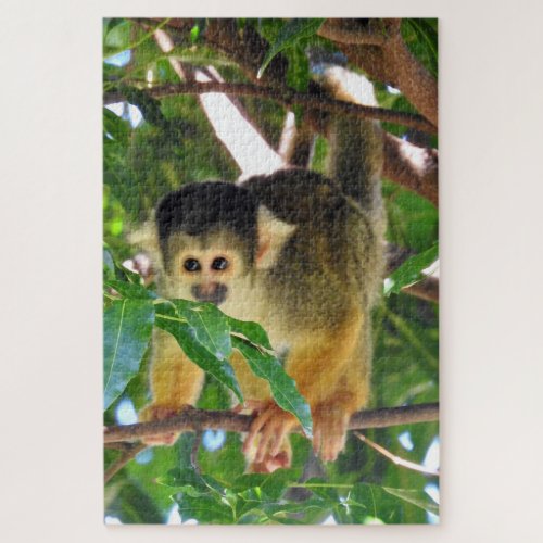 Squirrel Monkey Jigsaw Puzzle