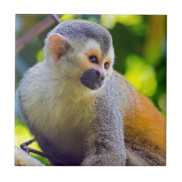 Squirrel monkey on a branch - Costa Rica Ceramic Tile Squirrel monkey on a branch - Costa Rica Ceramic Tile