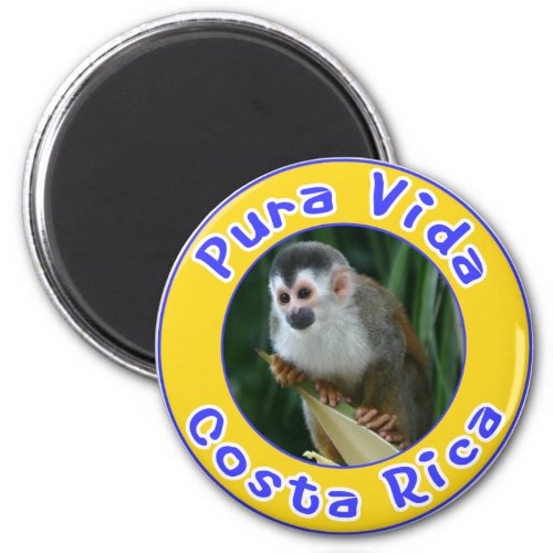 Squirrel Monkey Pura Vida Costa Rica Magnet