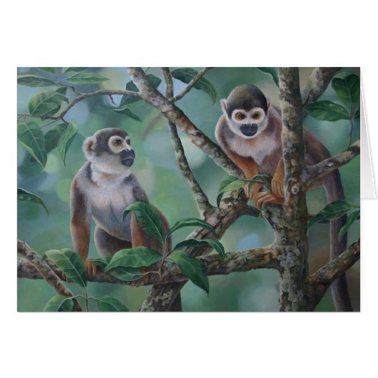 Squirrel Monkeys Cards (Front Horizontal)