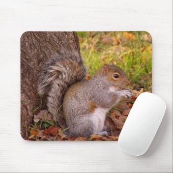 Squirrel Mosue Pad Mouse Pad | Zazzle