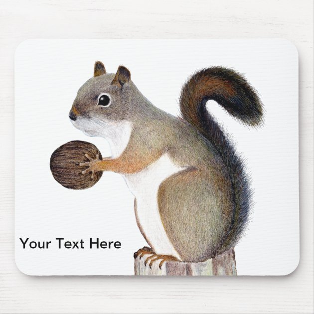 squirrel mouse pad