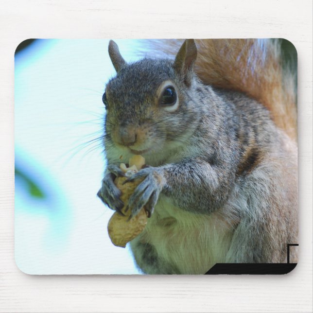 Squirrel Mouse Pad (Front)