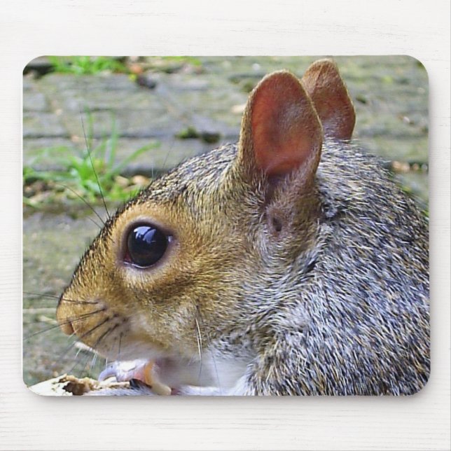 squirrel mouse pad (Front)