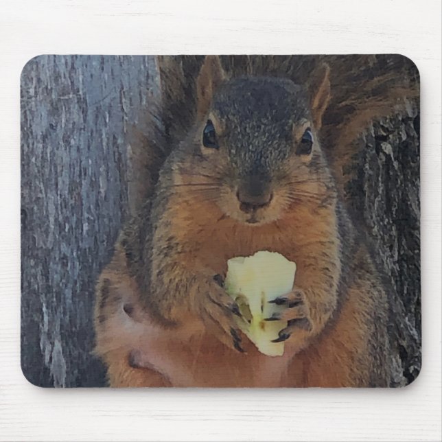 Squirrel Mouse Pad (Front)