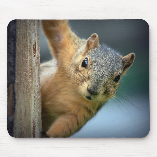 Squirrel Mousepad (Front)