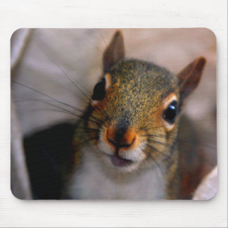 Squirrel Mousepad