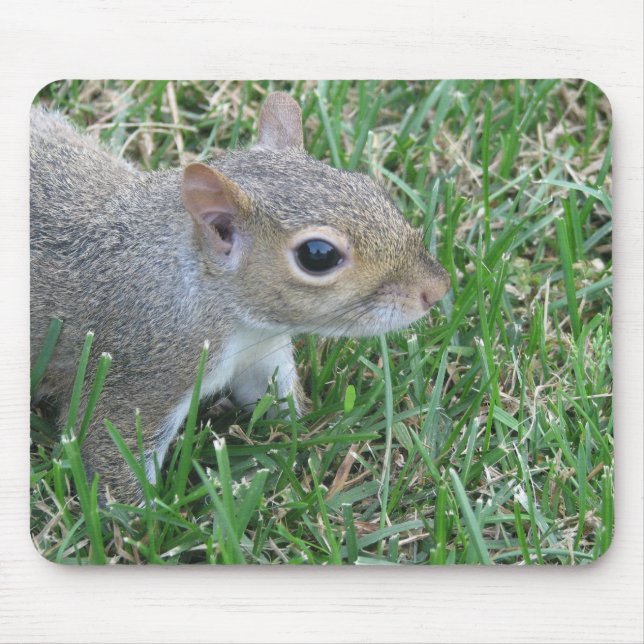 Squirrel Mousepad, featuring "Clicker" Mouse Pad (Front)